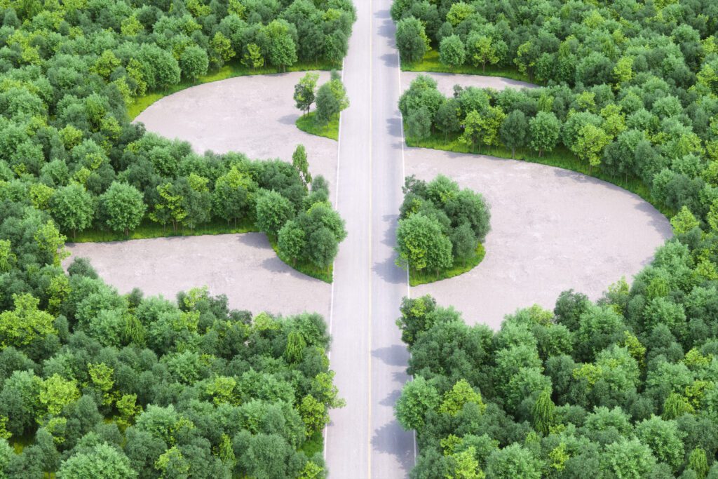 A road with trees in the middle of it