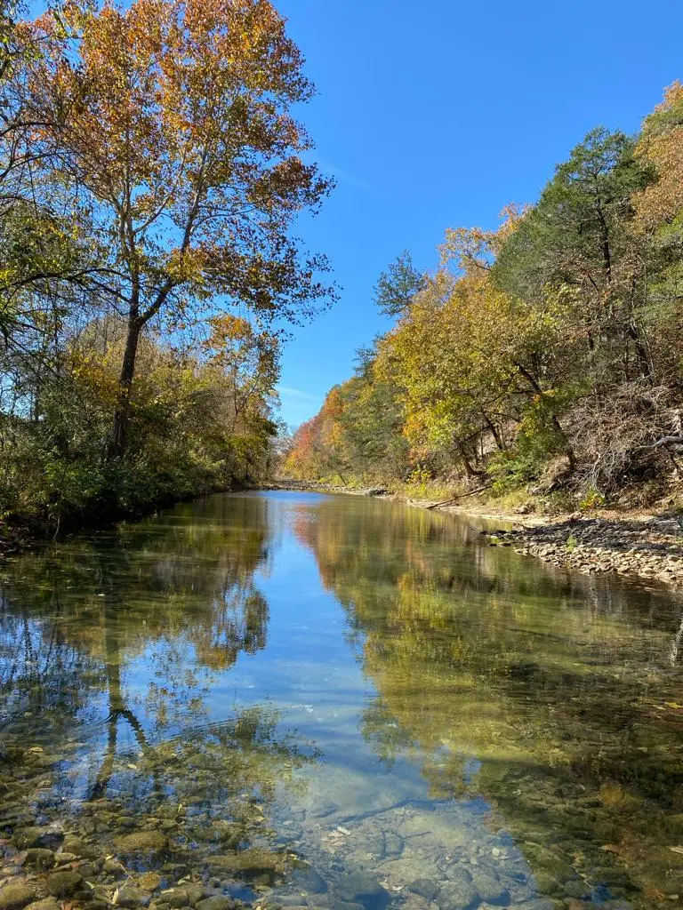 A river with trees in the background and water on one side.